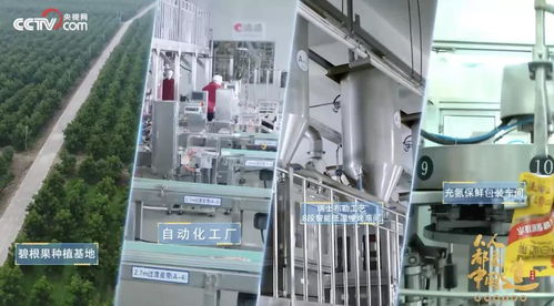 央視再播洽洽透明工廠,探洽洽如何引領(lǐng)行業(yè)新鮮革命