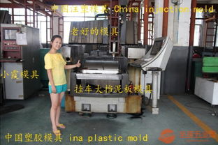 2010新款格柵模具 沈陽注塑模具的創(chuàng)新與應用